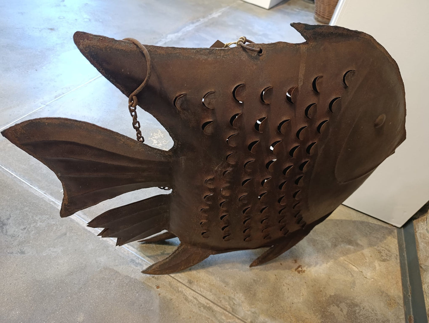 Peixe Médio Ferrugem