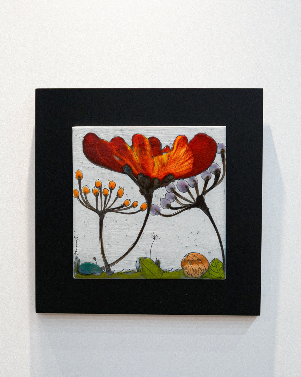 Quadro Rhoeas Collection Médio