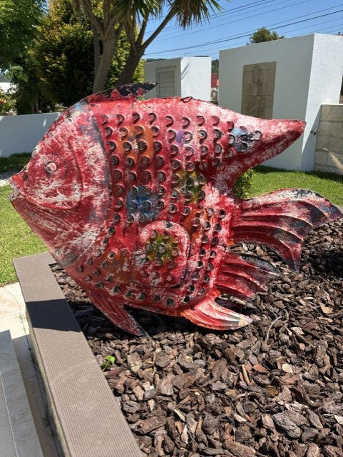Peixe Grande Vermelho